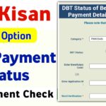 Dbt Payment Check