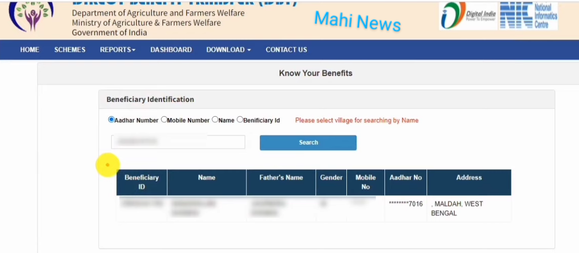 Dbt Portal Status